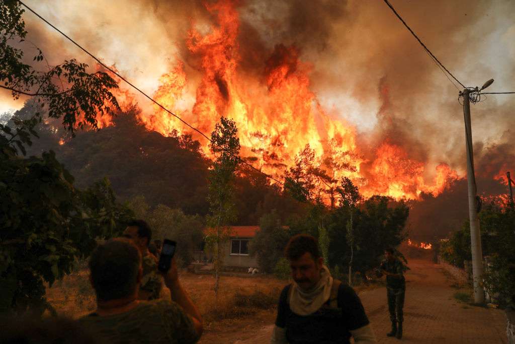 Forest fires in Mugla