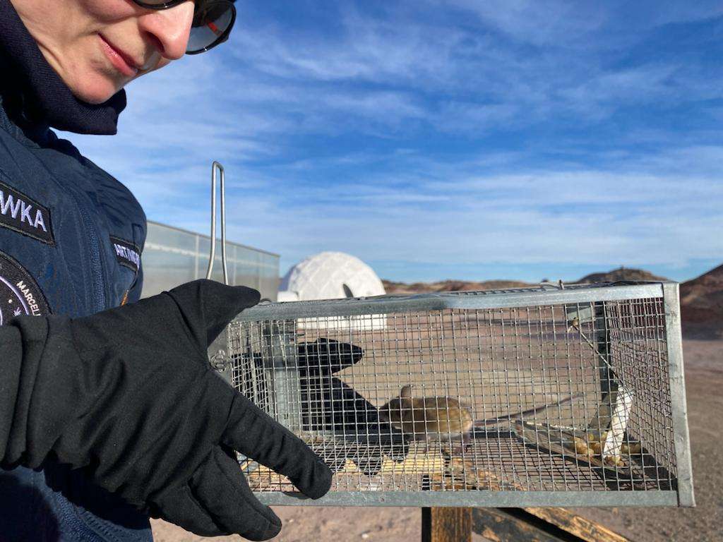 Mars Desert Research Station