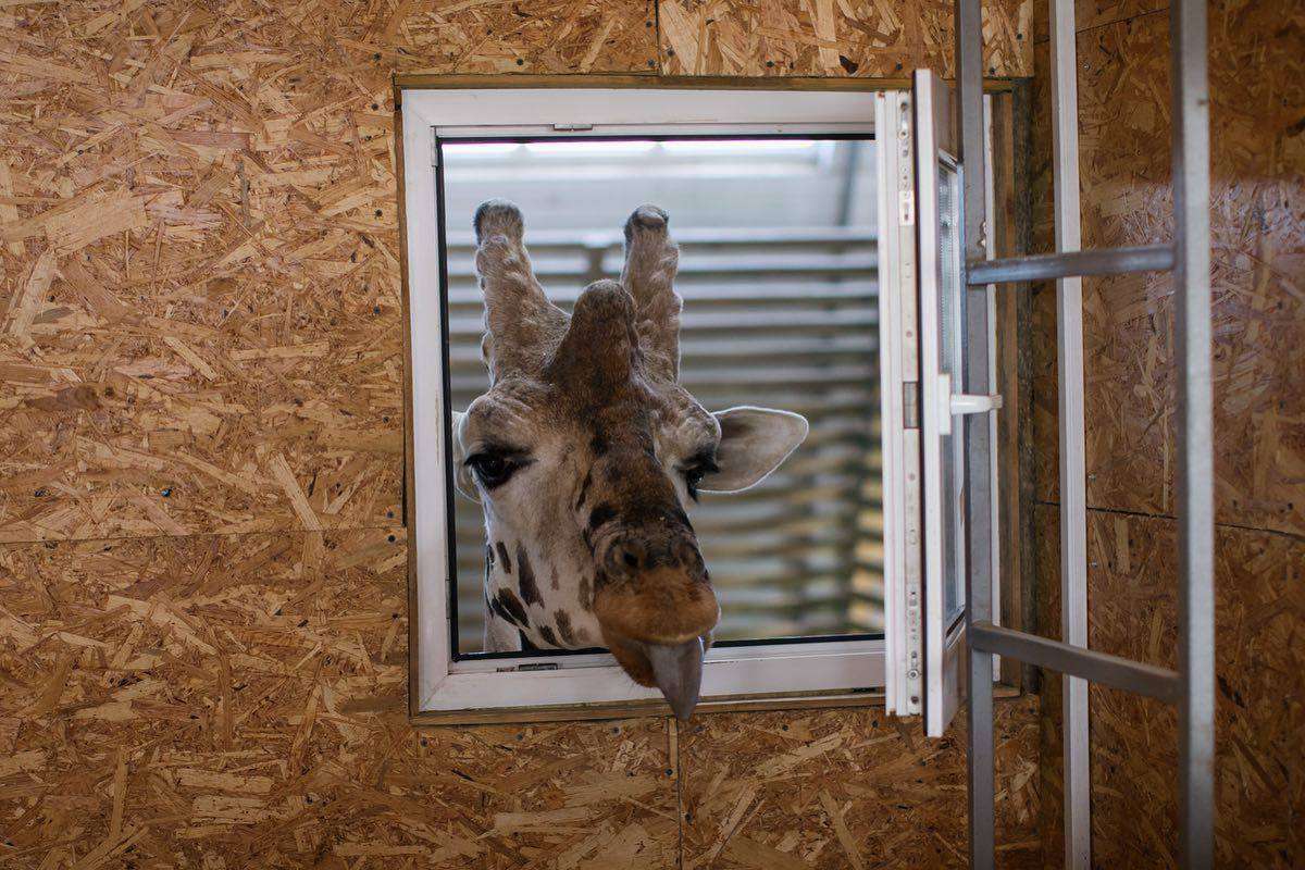 zoo de Mykolaiv