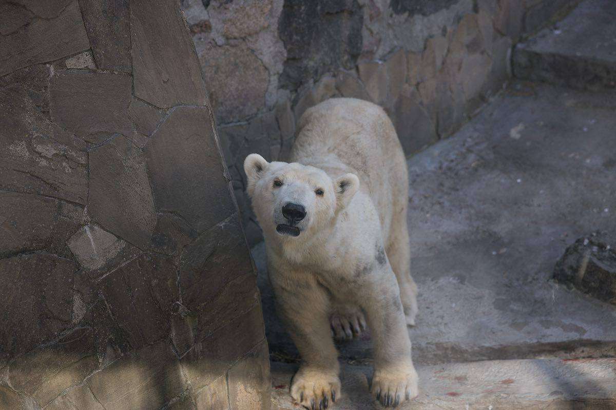 zoo de Mykolaiv