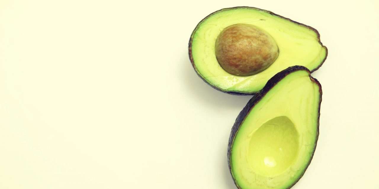 Aforro em dieta. Ganhe dinheiro sem se preocupar