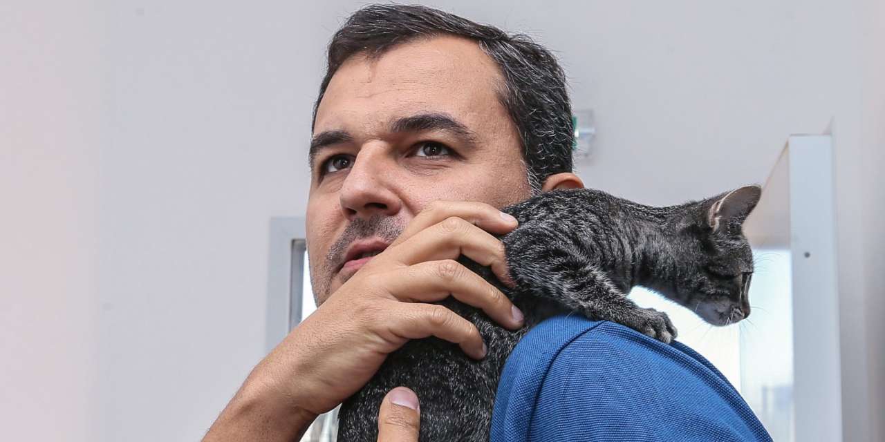 No programa referem os bichos como "animais não humanos" e é sobre ele que concretizam mais medidas
