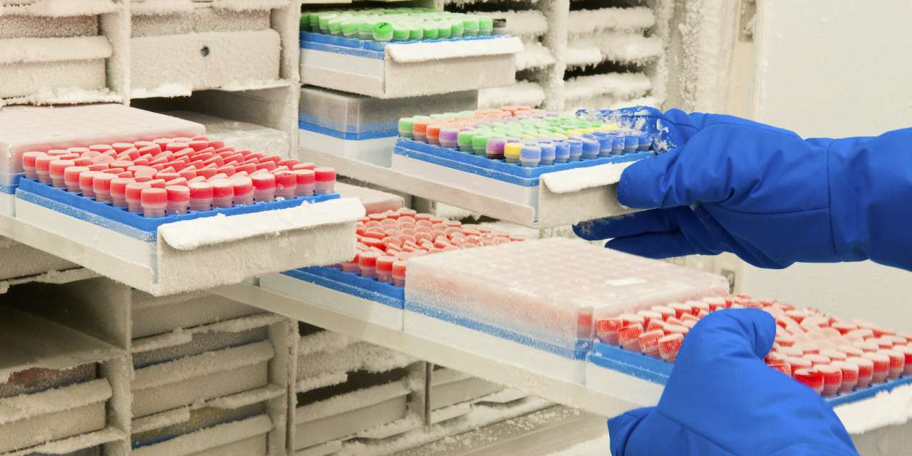 As primeiras amostras recolhidas são só de doentes do hospital de Santa Maria