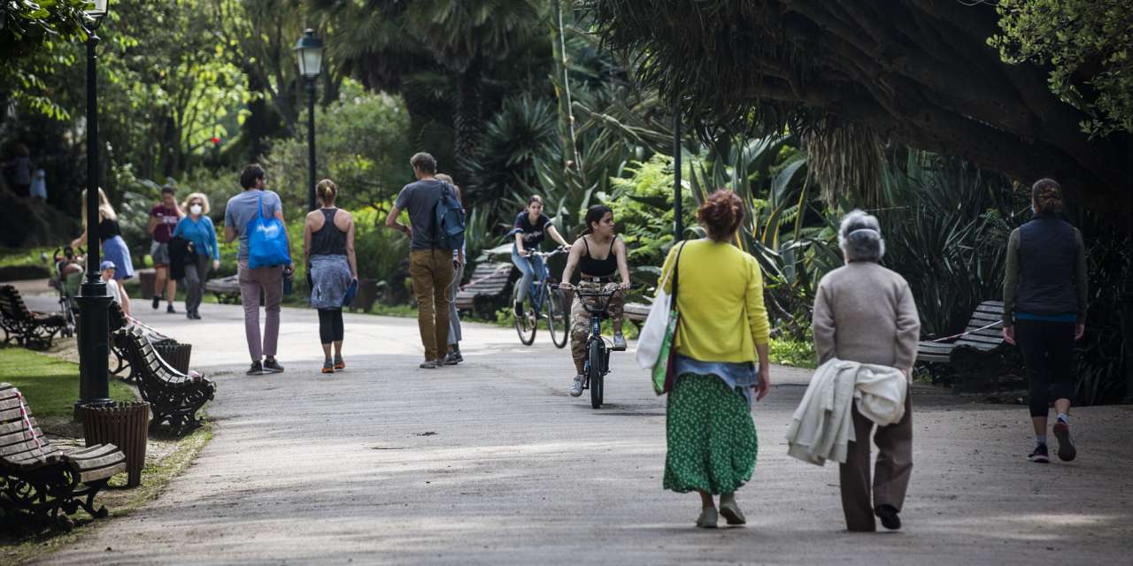 O Jardim da Estrela esta quinta-feira, pelas 16h00, estava mais cheio do que o habitual (FILIPE AMORIM/OBSERVADOR)