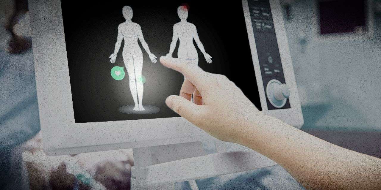 A austríaca Ilona Wilding, proprietária da clínica de Olhão, foi detida com Luísa Teixeira, uma antropóloga que alegadamente "angariava clientes". Alexandra Lazuk, russa, também está indiciada mas abandonou Portugal