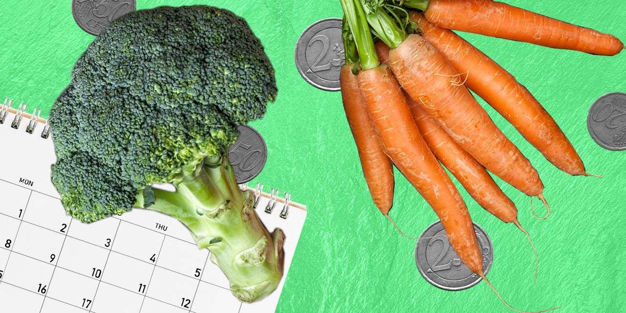 A bastonária da Ordem dos Nutricionistas alerta que "é preciso um trabalho de fundo, que tem de ser intensificado para aumentar a literacia da população"