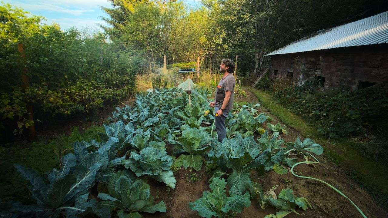 zach galifianakis this is a gardening show mãos na terra netflix jardinagem
