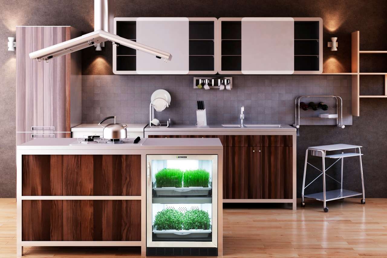 Urban Cultivator
