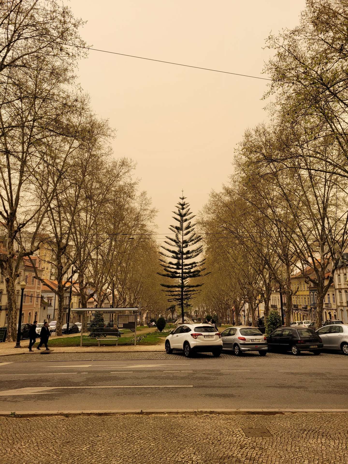 Chuva de Barro em Coimbra