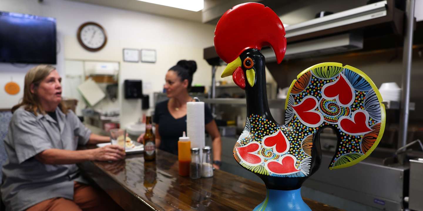 Um galo de Barcelos gigante é um dos 'amuletos' presentes no restaurante da luso-descendente Rosemary Pereira (C), proprietária do restaurante Little Portugal, instalado na pequena cidade de Fuquay-Varina, Carolina do Norte, Estados Unidos da América, 31 de outubro de 2024. Com pratos portugueses e venda de produtos nacionais, tem o negócio há quatro anos e é apoiante convicta de Donald Trump, principalmente por achar que a economia americana irá melhorar se o candidato republicano vencer as eleições. (ACOMPANHA TEXTO DE 02 DE NOVEMBRO DE 2024). NUNO VEIGA/LUSA
