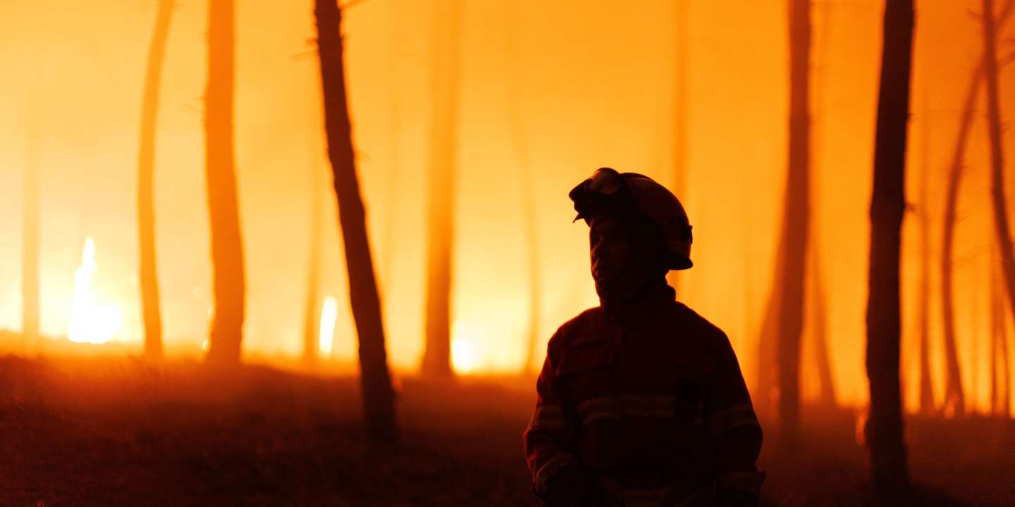 Um bombeiro combate as chamas durante um incêndio em São Martinho da Anta, concelho de Sabrosa, Vila Real, 2 de agosto de 2025. O fogo que começou em São Cibrão, Vila Real, alastrou para o concelho de Sabrosa, onde lavra em duas frentes com alguma intensidade e mobiliza cerca de 240 operacionais. PEDRO SARMENTO COSTA/LUSA