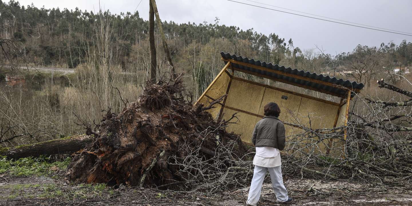 Uma popular observa uma Paragem de autocarro destruida no Casal perto de Ourém, 2 de fevereiro de 2026. A passagem da depressão Kristin por Portugal continental, na quarta-feira, dia 28 de janeiro, deixou um rasto de destruição, causando pelo menos cinco mortos, segundo a Proteção Civil, vários feridos e desalojados. MIGUEL A. LOPES/LUSA