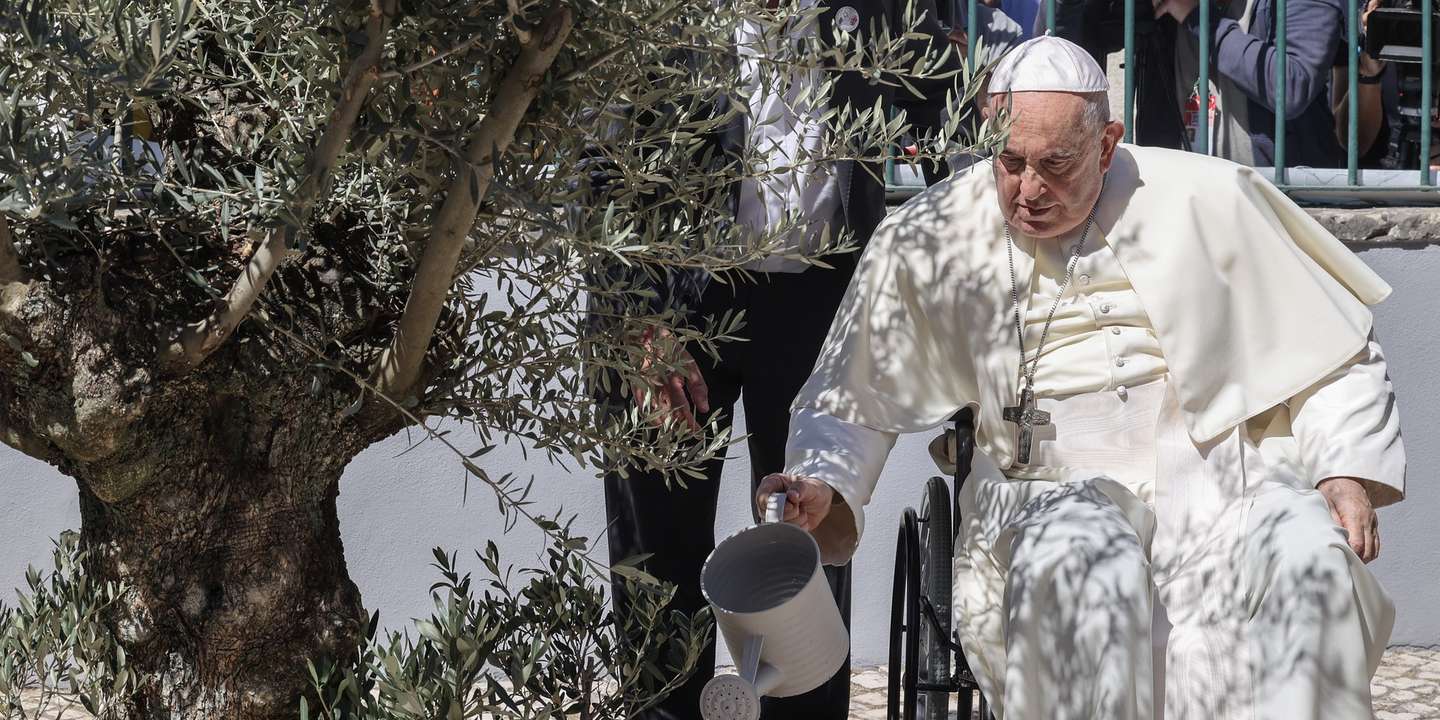 Pope Francis waters a olive tree during a visit to Scholas Occurrentes in Cascais, Portugal, 03 August 2023. The Pontiff will be in Portugal on the occasion of World Youth Day (WYD), one of the main events of the Church that gathers the Pope with youngsters from around the world, that takes place until 06 August. ANTONIO COTRIM/LUSA/POOL