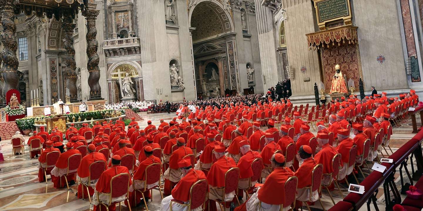 A queixa surge numa altura em que a saúde do Papa Francisco alimenta o debate sobre a sua sucessão