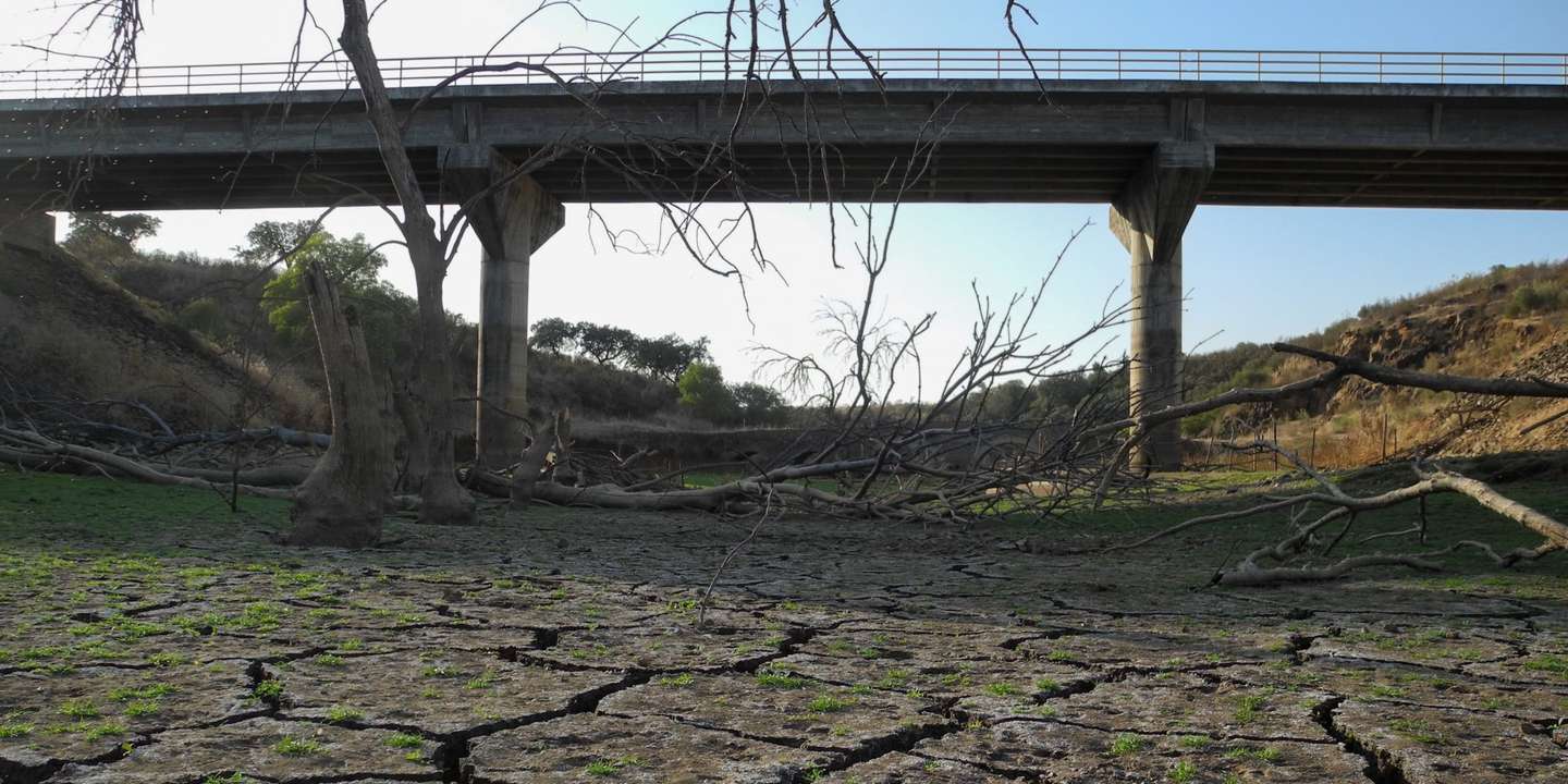O Alentejo já é o primeiro a sofrer com o calor — e dentro de 50 anos poderá ser insuportável lá viver