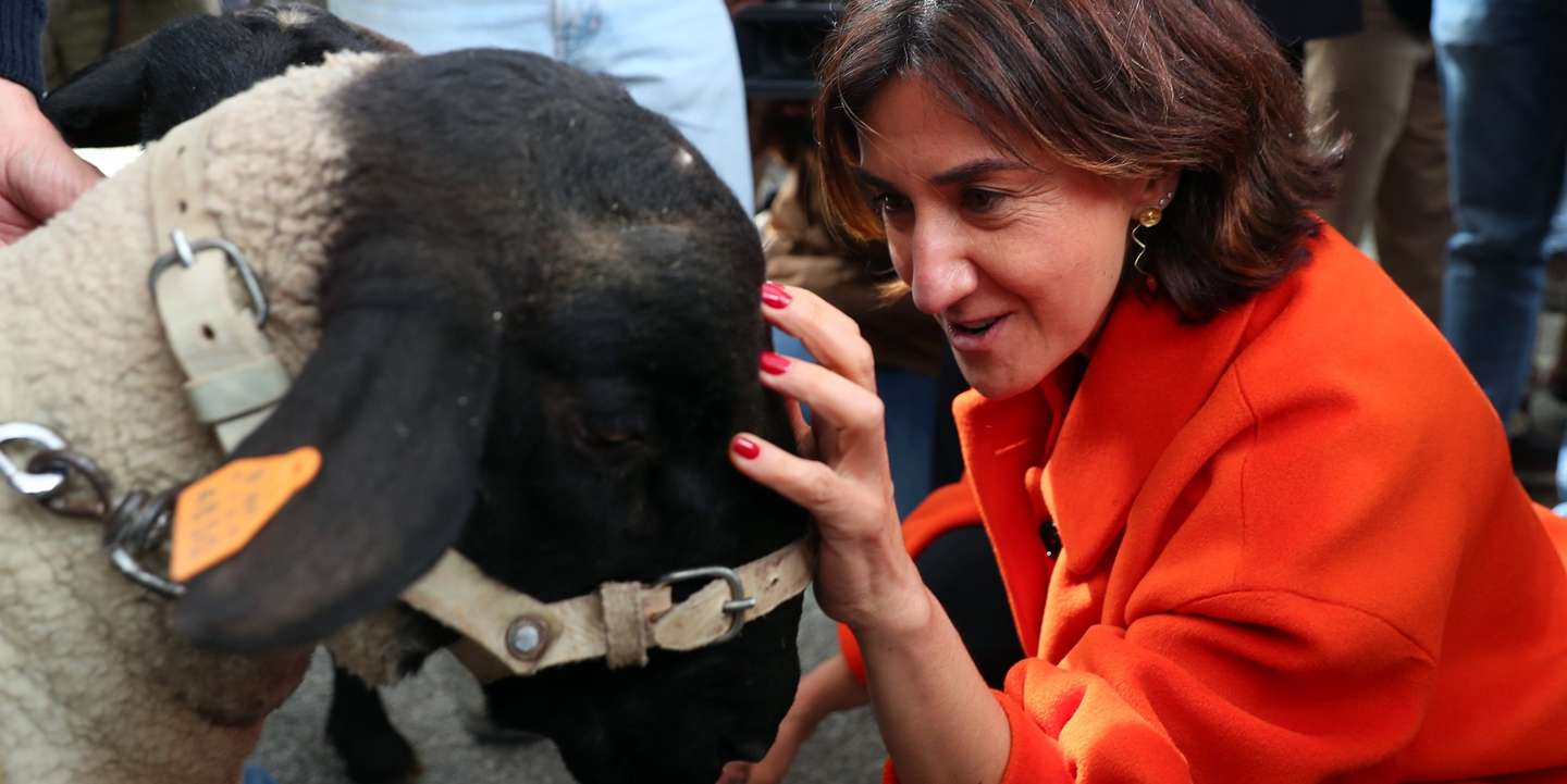 A ministra da Agricultura e da Alimentação, Maria do Céu Antunes, junto de uma ovelha de raça exótica durante a visita inaugural da 38.ª edição deste certame, que tem como tema central “Como Alimentar o Planeta”, Beja, 21 de abril de 2022. NUNO VEIGA/LUSA