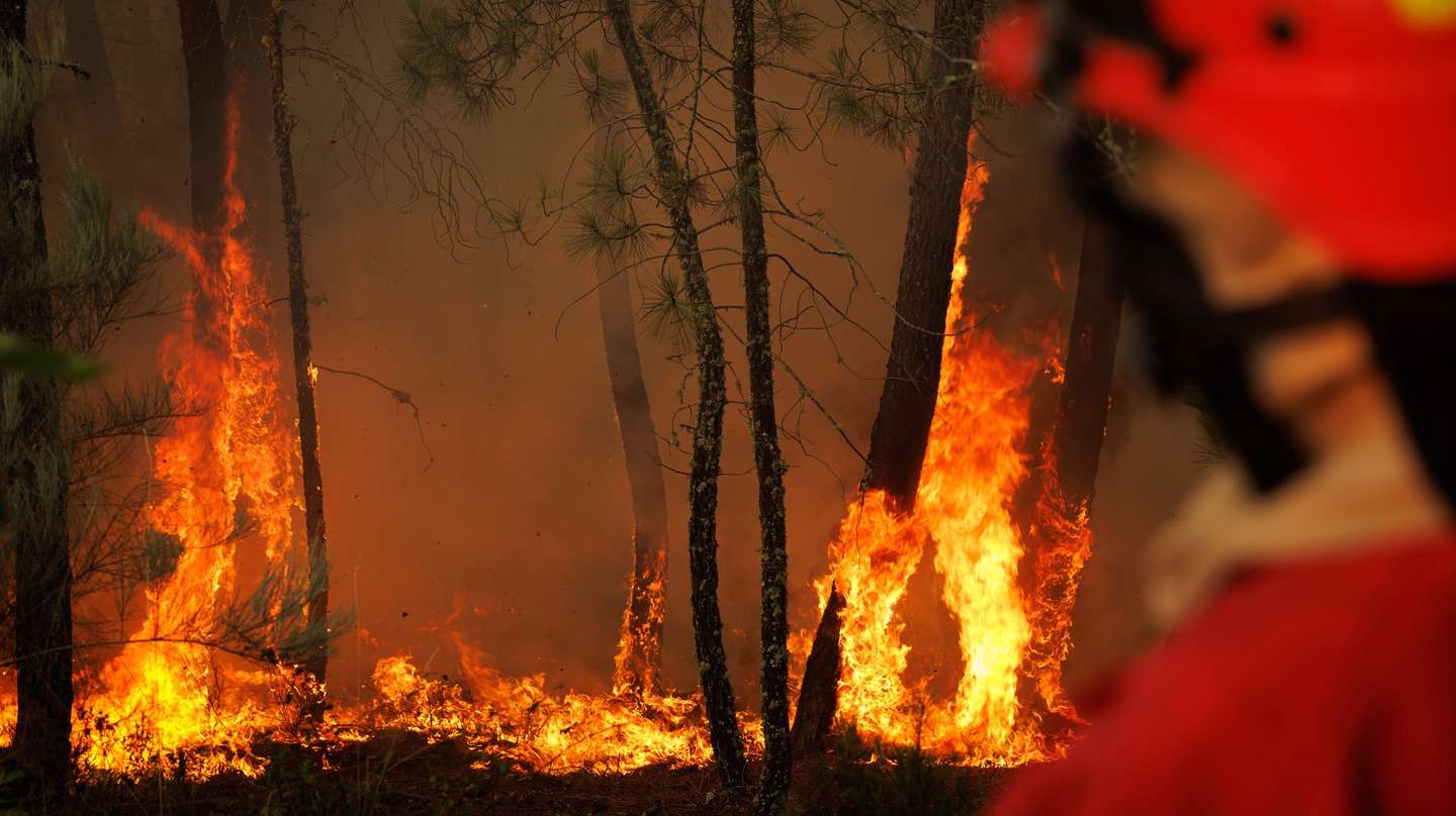 epa10096114 A fireman watches a forest fire in Reboredo village, Vila Pouca de Aguiar, Portugal, 28 July 2022. A total of 466 operational, 144 vehicles and six airplane are fighting the forest fire.  EPA/PEDRO SARMENTO COSTA