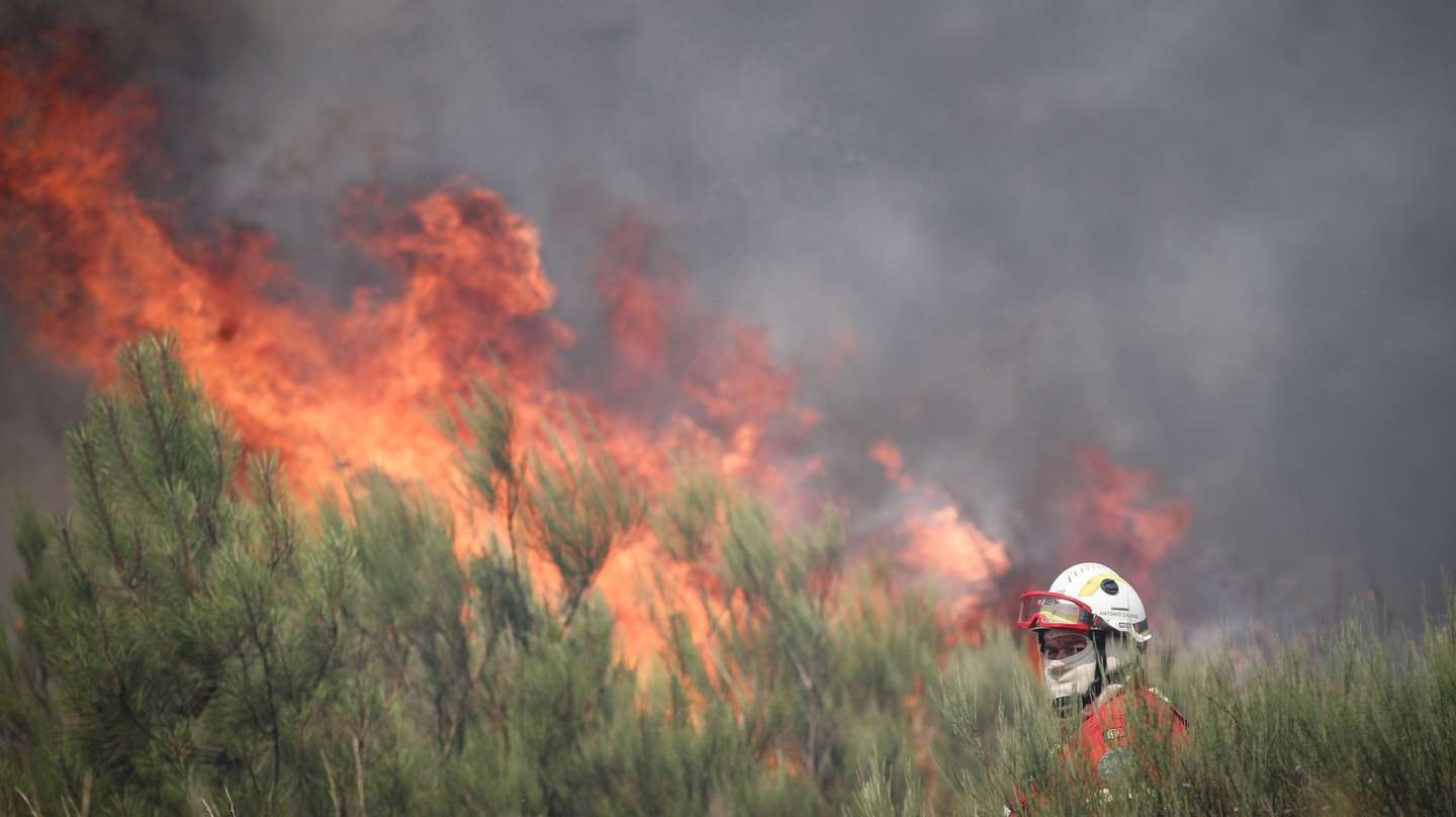 Um bombeiro combate as chamas durante o incêndio na encosta da aldeia de Moura da Serra, Arganil, 14 de agosto de 2025. De acordo com os dados disponíveis no ‘site’ da Autoridade Nacional de Emergência e Proteção Civil (ANEPC), quase 900 operacionais combatiam o fogo que deflagrou na quarta-feira na freguesia de Piódão, no concelho de Arganil, distrito de Coimbra, e se estendeu depois aos municípios de Oliveira do Hospital e Pampilhosa da Serra (Coimbra), e de Seia, já no distrito da Guarda. PAULO CUNHA/LUSA