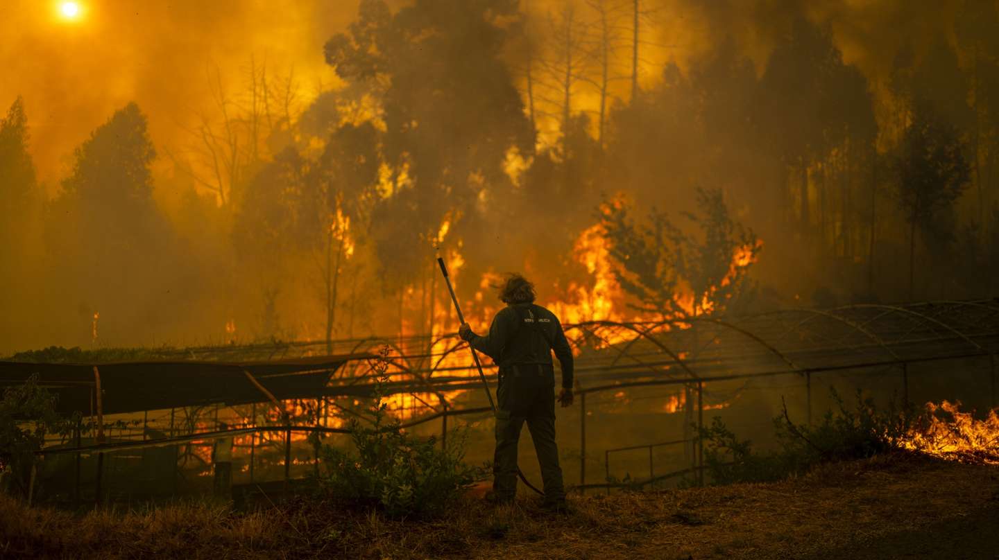 epa12307292 A forest guard works to extinguish a forest fire in Carballeda de Avia, Ourense, Galicia, north-western Spain, 17 August 2025. Multiple blazes continue to affect several provinces in Spain, after burning thousands of hectares across the country. In Galicia, 50,000 hectares have already burned, and in Castile and Leon (central Spain), 3,500 people remain outside their homes.  EPA/BRAIS LORENZO