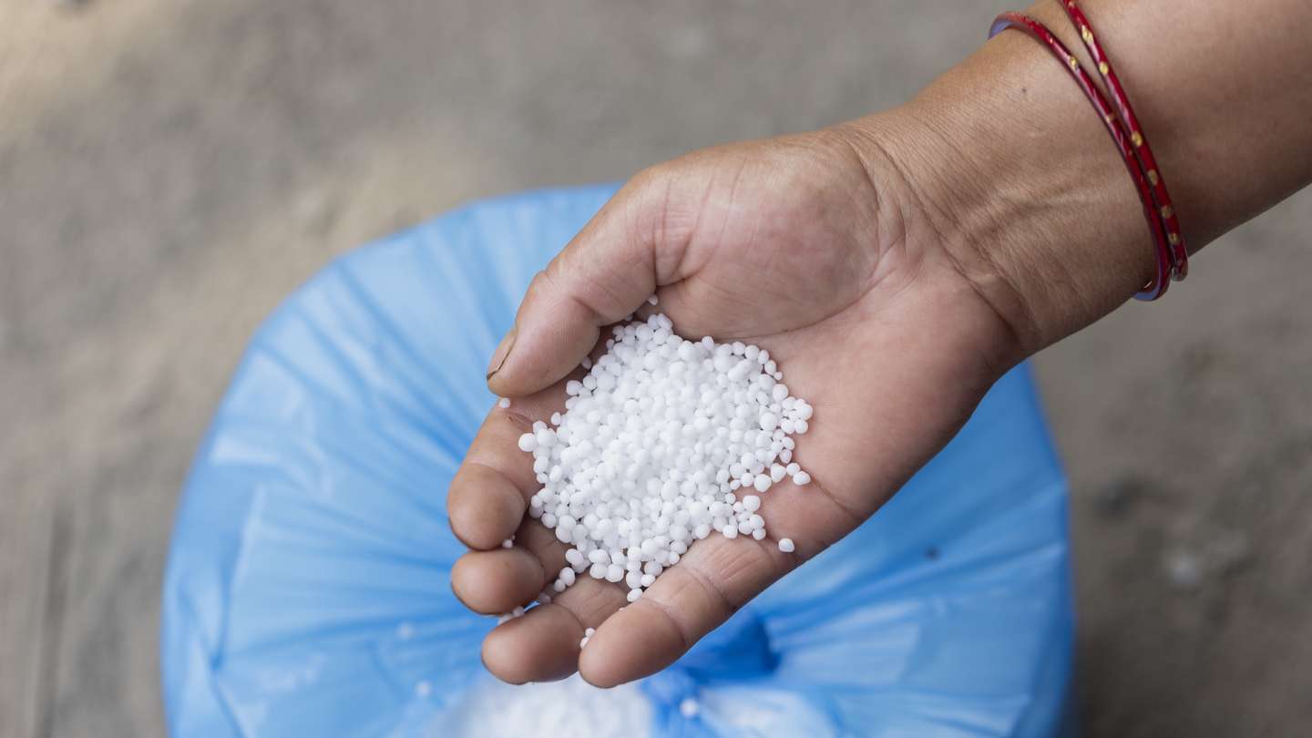 epa11421515 Nepalese farmer Dhan Kumari Maharjan holds urea fertilizer after receiving it from Yuwa Krishak Multi-Purpose co-operative ahead of rice harvesting season in Kathmandu, Nepal, 19 June 2024. Nepal has no fertilizer plants and imports all fertilizers from China, Russia, and India. Agriculture contributes around 60 percent to the nation's gross domestic product (GDP). According to the Ministry of Agriculture and Livestock Development, the government has been providing a 40-45 percent subsidy on fertilizers.  EPA/NARENDRA SHRESTHA