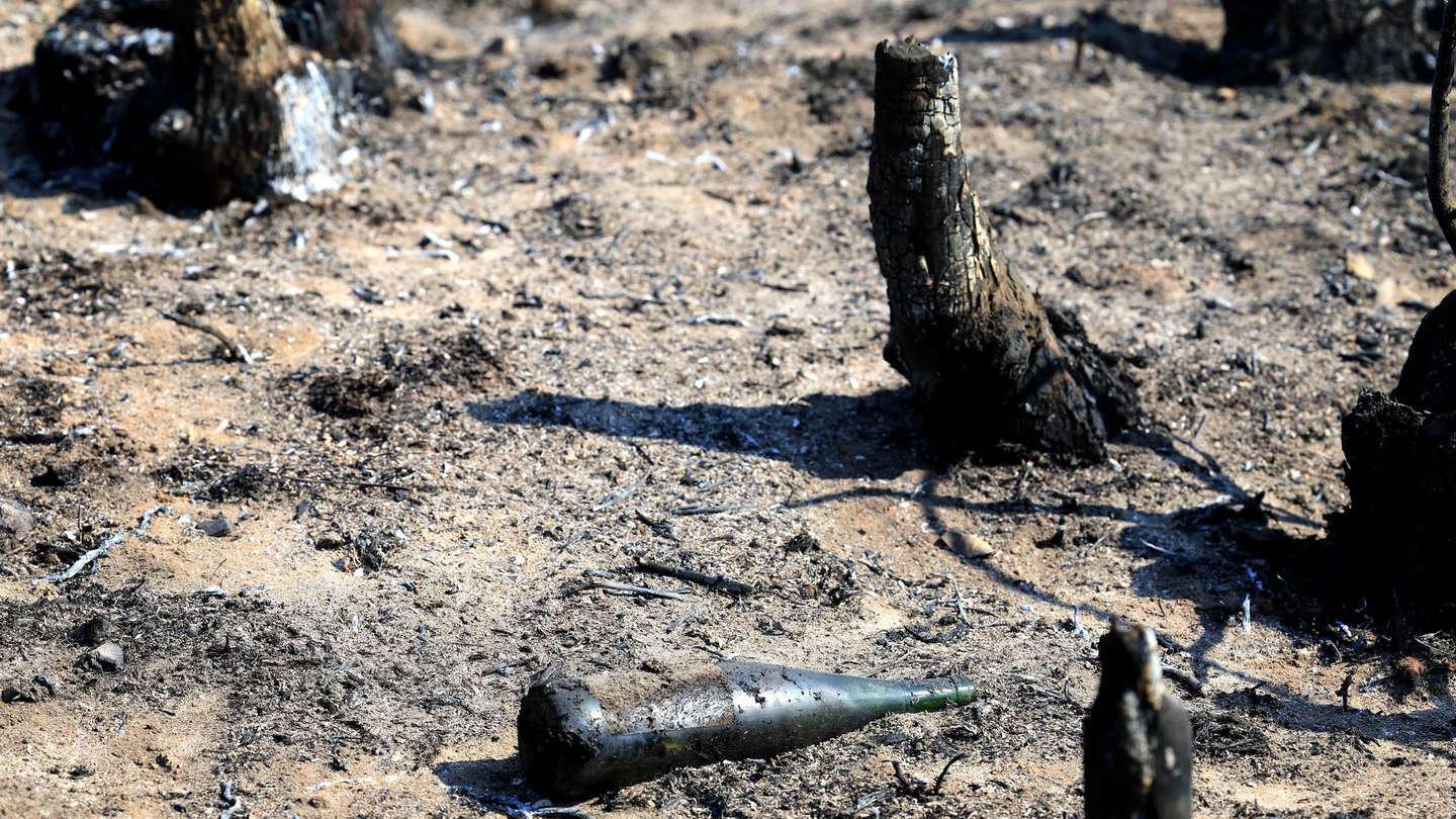 Paisagem florestal destruida pelo incêndio que fustigou o concelho de Arouca durante três dias, 01 de agosto de 2025. O incêndio que deflagrou na segunda-feira em Arouca, e que alastrou aos concelhos vizinhos de Castelo de Paiva e Cinfães, foi dado como dominado cerca das 07:00 de hoje. De acordo com as primeiras estimativas, o incêndio de Arouca chegou a ter cerca de 50 quilómetros de perímetro e consumiu neste município uma área de cerca de 4000 hectares de floresta. ESTELA SILVA/LUSA