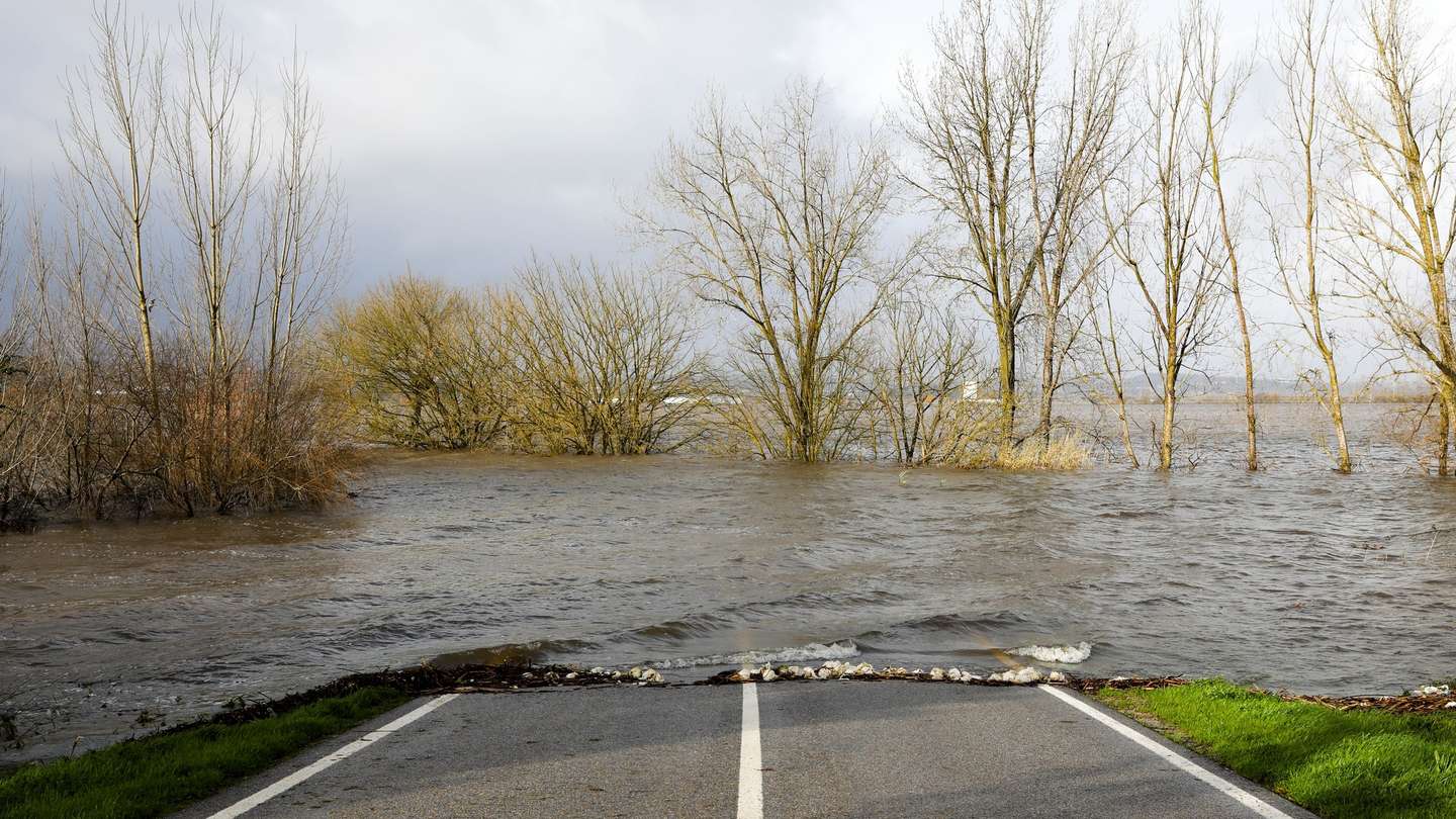 A estrada que liga Alfarelos a Montemor o Velho, encontra-se parcialmente submersa devido à cheia do Rio Mondego, em Alfarelos, distrito de Coimbra,13 de fevereiro de 2026. Dezasseis pessoas morreram em Portugal na sequência da passagem das depressões Kristin, Leonardo e Marta, que provocaram também muitas centenas de feridos e desalojados. PAULO CUNHA/LUSA