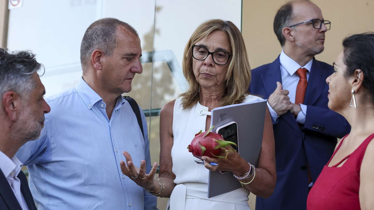 A ministra da Saúde, Ana Paula Martins (C), acompanhada pelo presidente do Conselho de Administração da Unidade Local de Saúde do Algarve, Tiago Botelho (C-D), durante a vista de inauguração da remodelação do Internamento de Psiquiatria e visita às obras de remodelação dos espaços exteriores e pedopsiquiatria de Faro, em Faro, 14 de agosto de 2026. LUÍS FORRA/LUSA