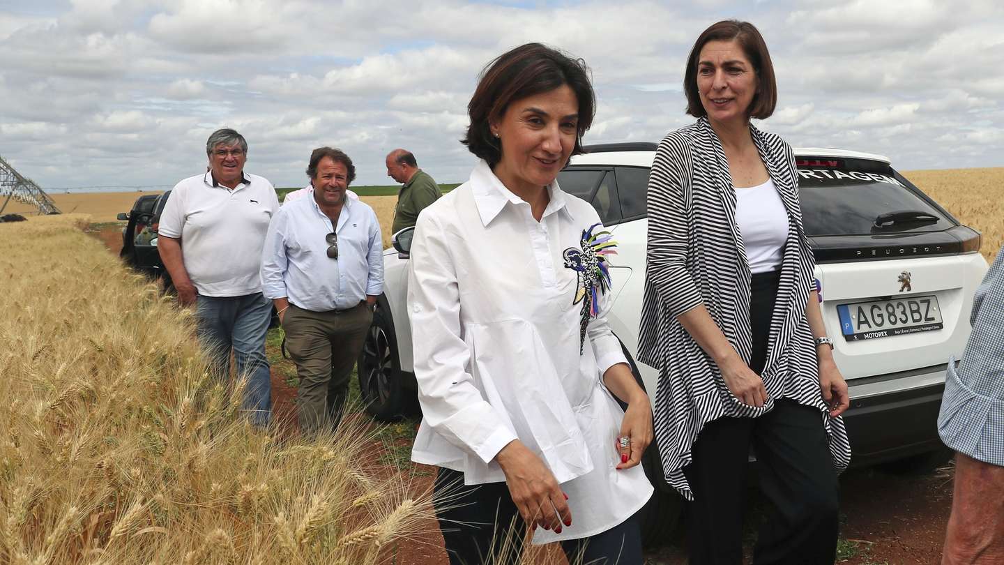 A ministra da Agricultura e da Alimentação, Maria do Céu Antunes (2-D), e a ministra Adjunta e dos Assuntos Parlamentares, Ana Catarina Mendes (D), participam numa visita de campo, organizada pela Cooperativa Agrícola de Beja e Brinches e pelo Clube Português dos Cereais de Qualidade, no âmbito 46.ª Assembleia Geral do Clube Português dos Cereais de Qualidade, em Beja, 30 de maio de 2022. NUNO VEIGA/LUSA