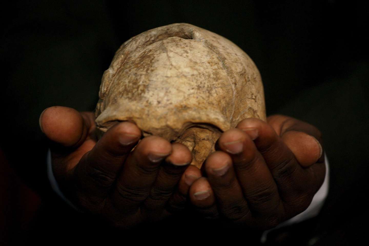 Um novo fóssil descoberto desafia a história da evolução humana. Um crânio descoberto em 2000 perto do lago Turkana, no Quénia.