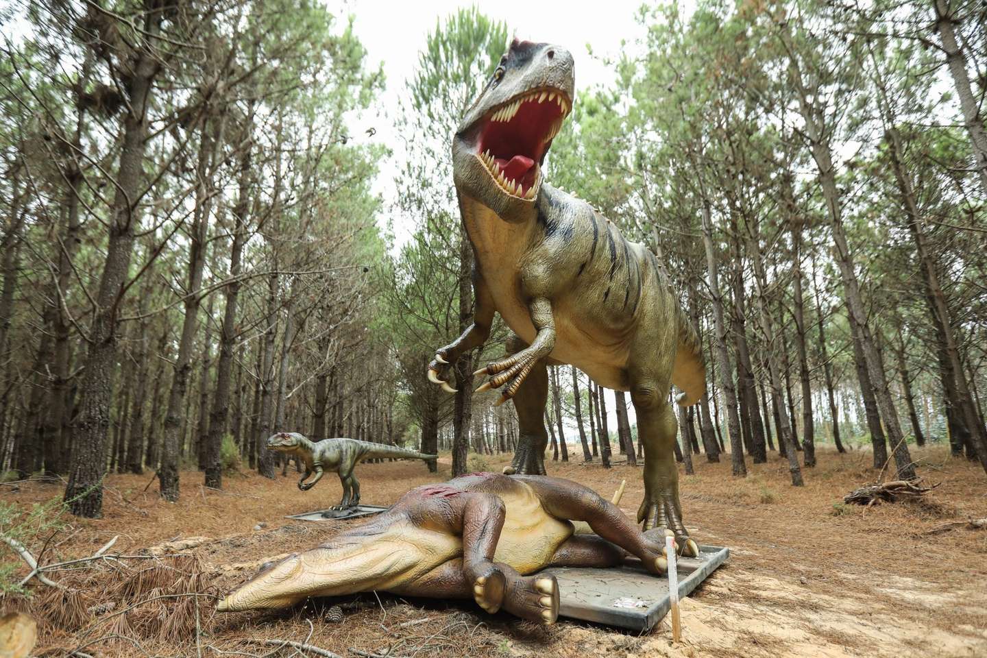 Réplicas de dinossauros que podem ser vistas no Dino Parque da Lourinha onde estão desde segunda-feira a ser montados uma centena de dinossauros e decorrem obras de construção de um espaço museológico para expor os achados de dinossauro descobertos no concelho. O Dino Parque tem prevista abertura para o inicio de 2018. Lourinhã, 5 de setembro de 2018. (ACOMPANHA TEXTO)MIGUEL A. LOPES/LUSA