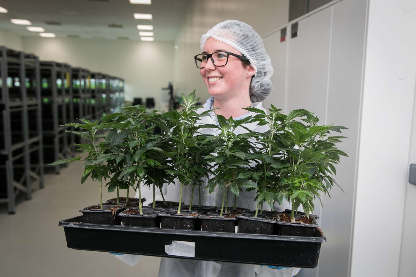 Inauguração das instalações de produção de canábis medicinal da Tilray em Portugal, em Cantanhede. JOÃO PORFÍRIO/OBSERVADOR