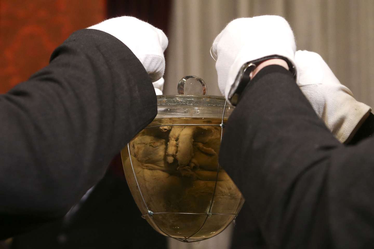 O coração de D. Pedro IV num recipiente de vidro e sob vaso de prata dourada, na Igreja da Lapa, no Porto, 8 de janeiro de 2015. A urna, o estojo e o vaso de prata dourada com o recipiente de vidro que conserva o coração de D. Pedro IV foram hoje abertos no âmbito da rodagem do próximo filme do realizador Miguel Gonçalves Mendes, “O Sentido da Vida”. JOSÉ COELHO/LUSA