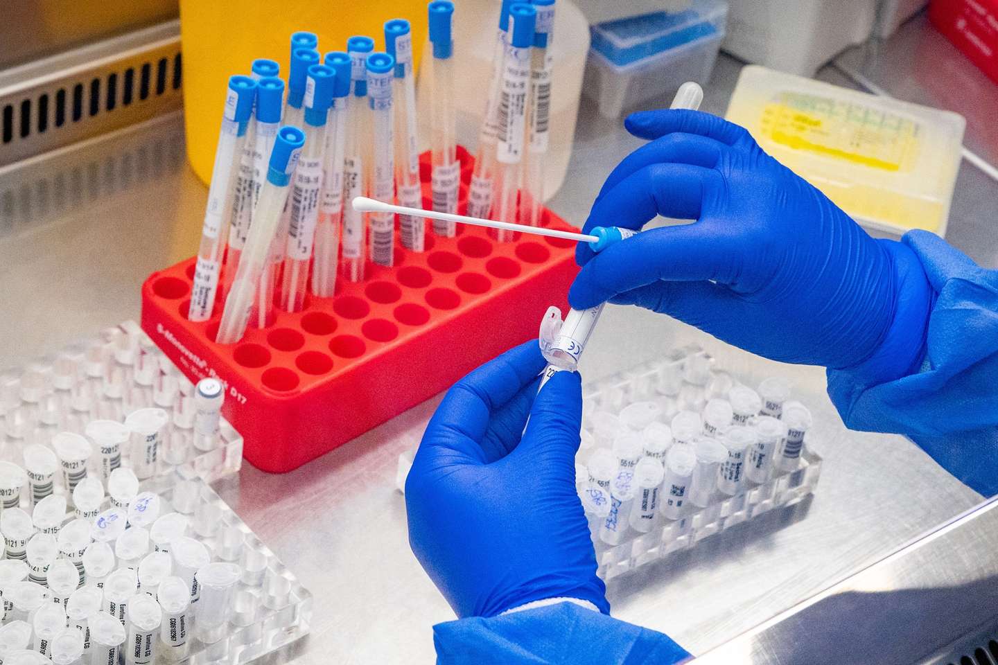 Laboratório