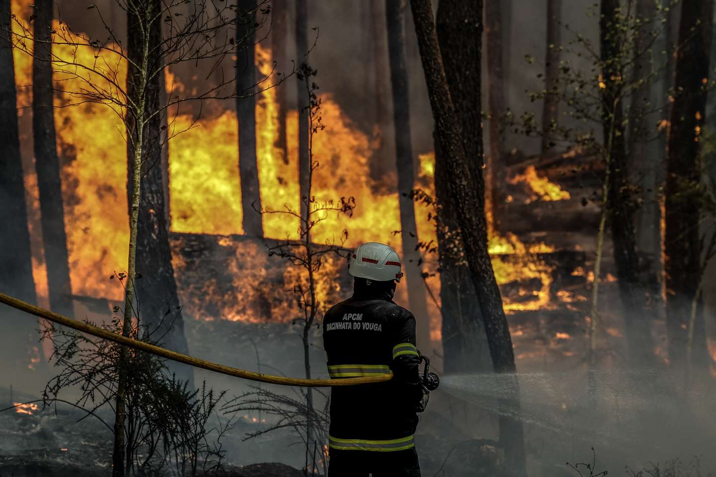 Bombeiro durante o combate ao incêndio na localidade de Soutelo, Albergaria-a-Velha, 16 de setembro de 2024. PAULO NOVAIS/LUSA