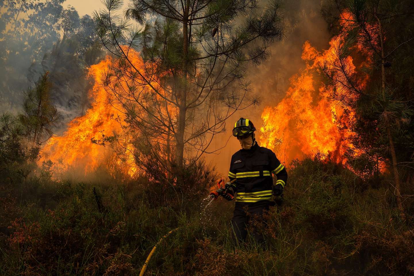 Um bombeiro durante o combate ao incêndio em Medas, Gondomar, 18 de setembro de 2024. Sete pessoas morreram e 40 ficaram feridas, duas com gravidade, nos incêndios que atingem desde domingo as regiões Norte e Centro do país, nos distritos de Aveiro, Porto, Vila Real e Viseu, e que destruíram dezenas de casas e obrigaram a cortar estradas e autoestradas, como a A1, A25 e A13. JOSE COELHO/LUSA