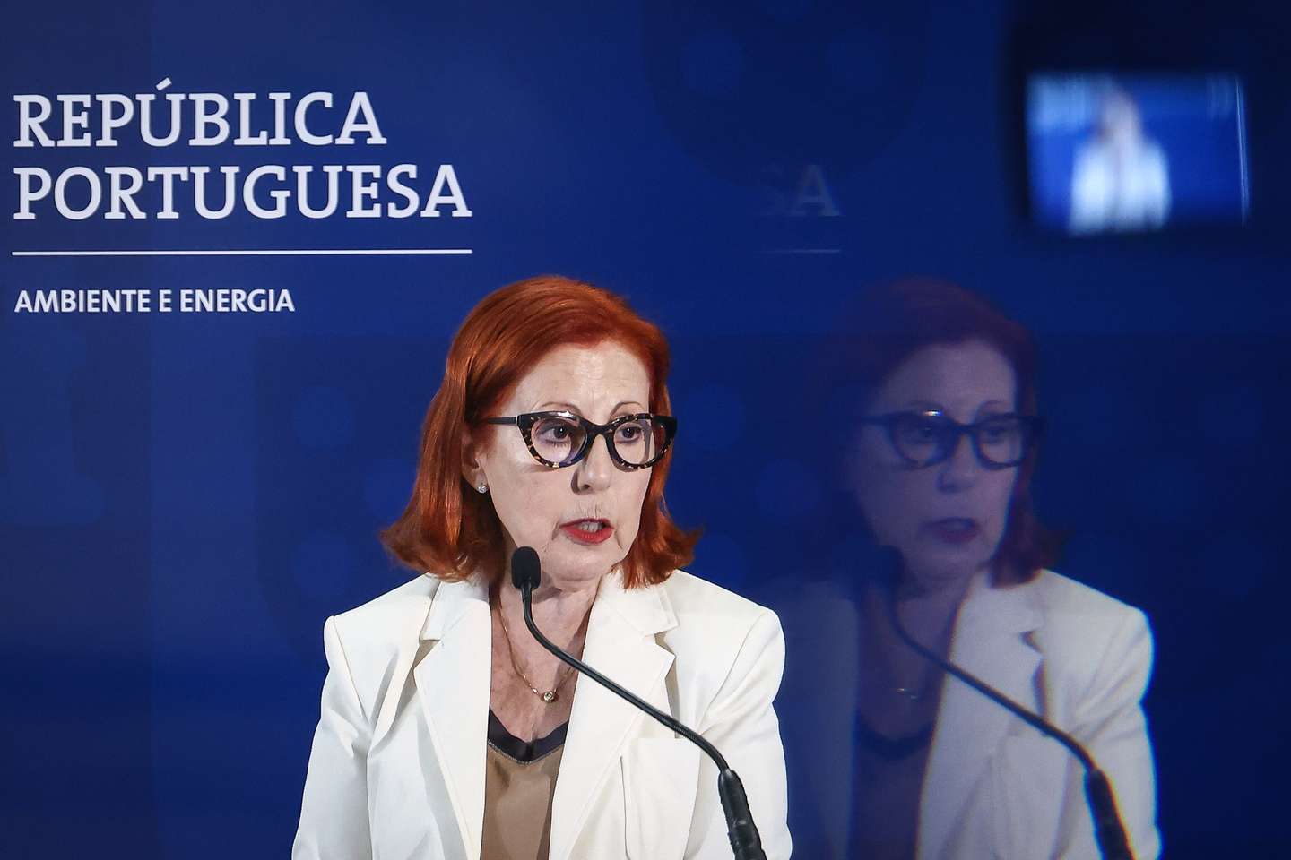 A ministra do Ambiente e Energia, Maria da Graça Carvalho, intervém na conferência de imprensa de apresentação do E-LAR e do Bairros + Sustentáveis, programas para tornar as casas mais eficientes e de combate à pobreza energética, em Lisboa, 05 de agosto de 2025. RODRIGO ANTUNES/LUSA