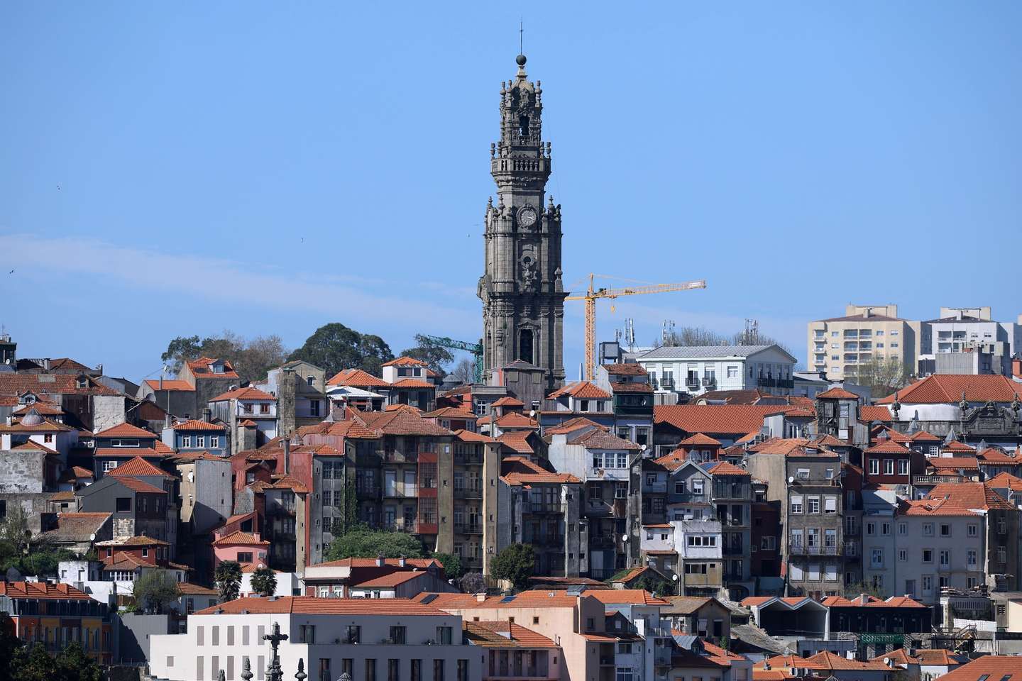 Torre dos Clérigos no centro histórico do Porto, 20 de março de 2024. ESTELA SILVA/LUSA