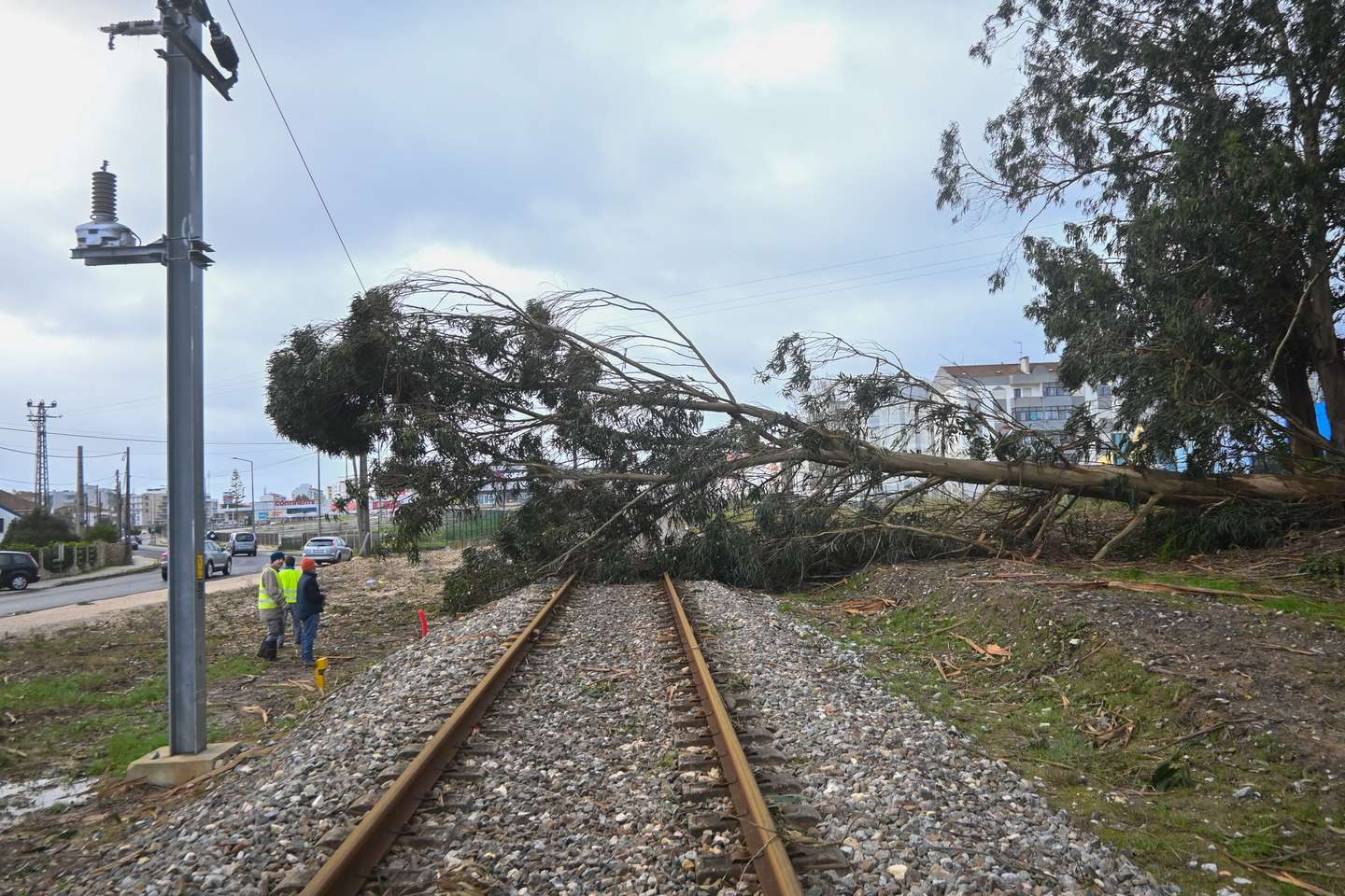 Devido à passagem da depressão Kristin, uma árvore de grande porte caiu sobre a linha de comboio da linha do Oeste, cortando a circulação dos comboios, nas Caldas da Rainha, 28 de janeiro de 2026. Portugal continental está a ser afetado pelos efeitos da passagem da depressão Kristin, com chuva, vento, neve e agitação marítima, tendo sido emitidos vários avisos pelo Instituto Português do Mar e da Atmosfera (IPMA). CARLOS BARROSO/LUSA