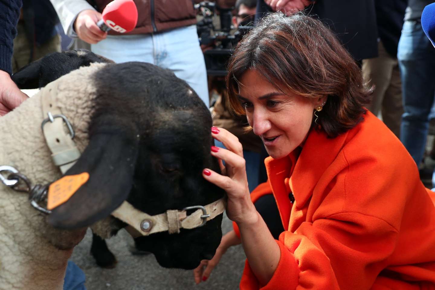 A ministra da Agricultura e da Alimentação, Maria do Céu Antunes, junto de uma ovelha de raça exótica durante a visita inaugural da 38.ª edição deste certame, que tem como tema central “Como Alimentar o Planeta”, Beja, 21 de abril de 2022. NUNO VEIGA/LUSA
