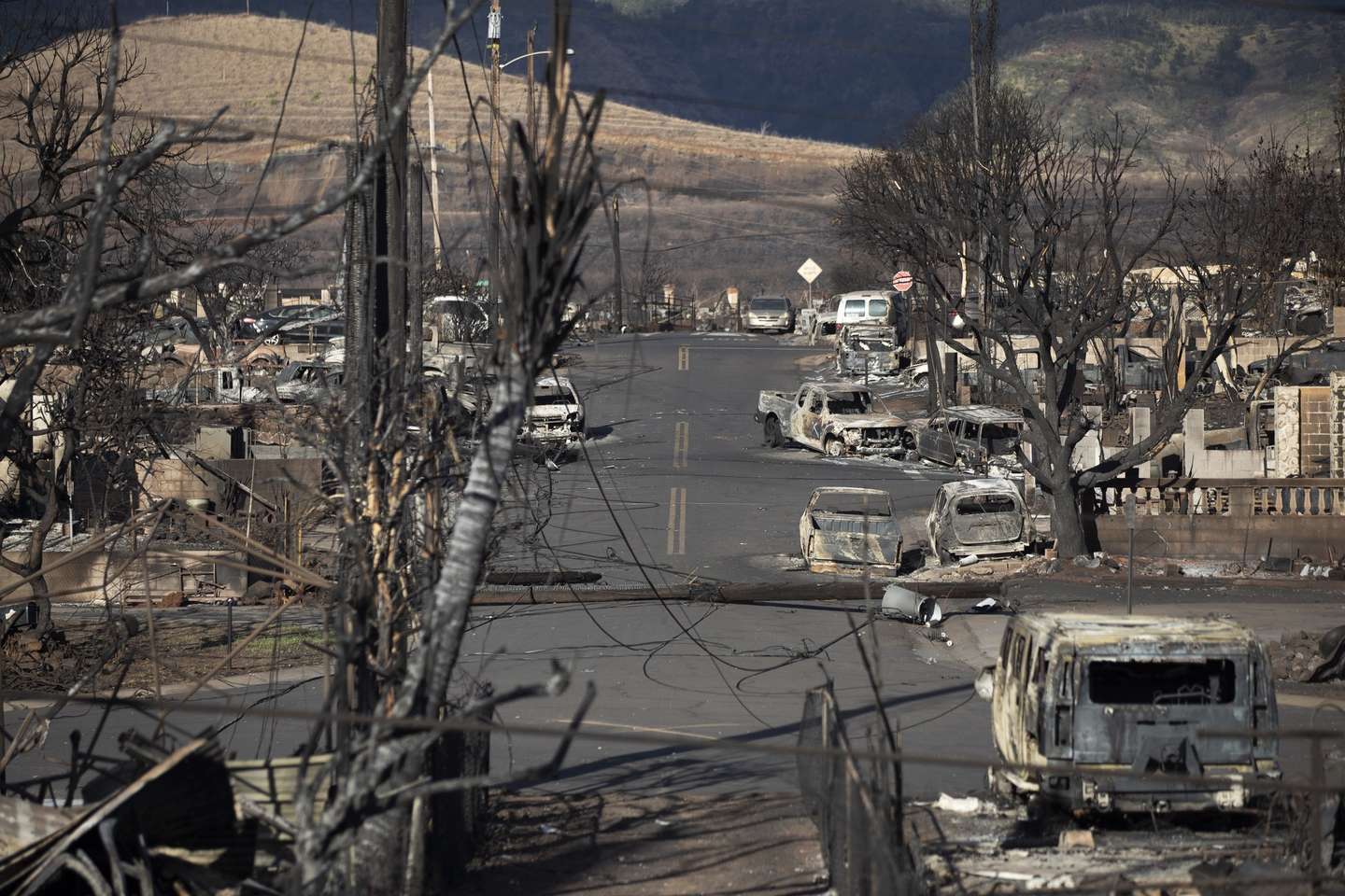 epa10799486 Burnt trees and cars and the ruins of houses are what is left after the Lahaina fire burnt through the city, in Lahaina, Hawaii, USA, 13 August 2023. At least 93 people were killed in the wildfires burning in Maui, which is considered the largest natural disaster in Hawaii's state history.  EPA/ETIENNE LAURENT