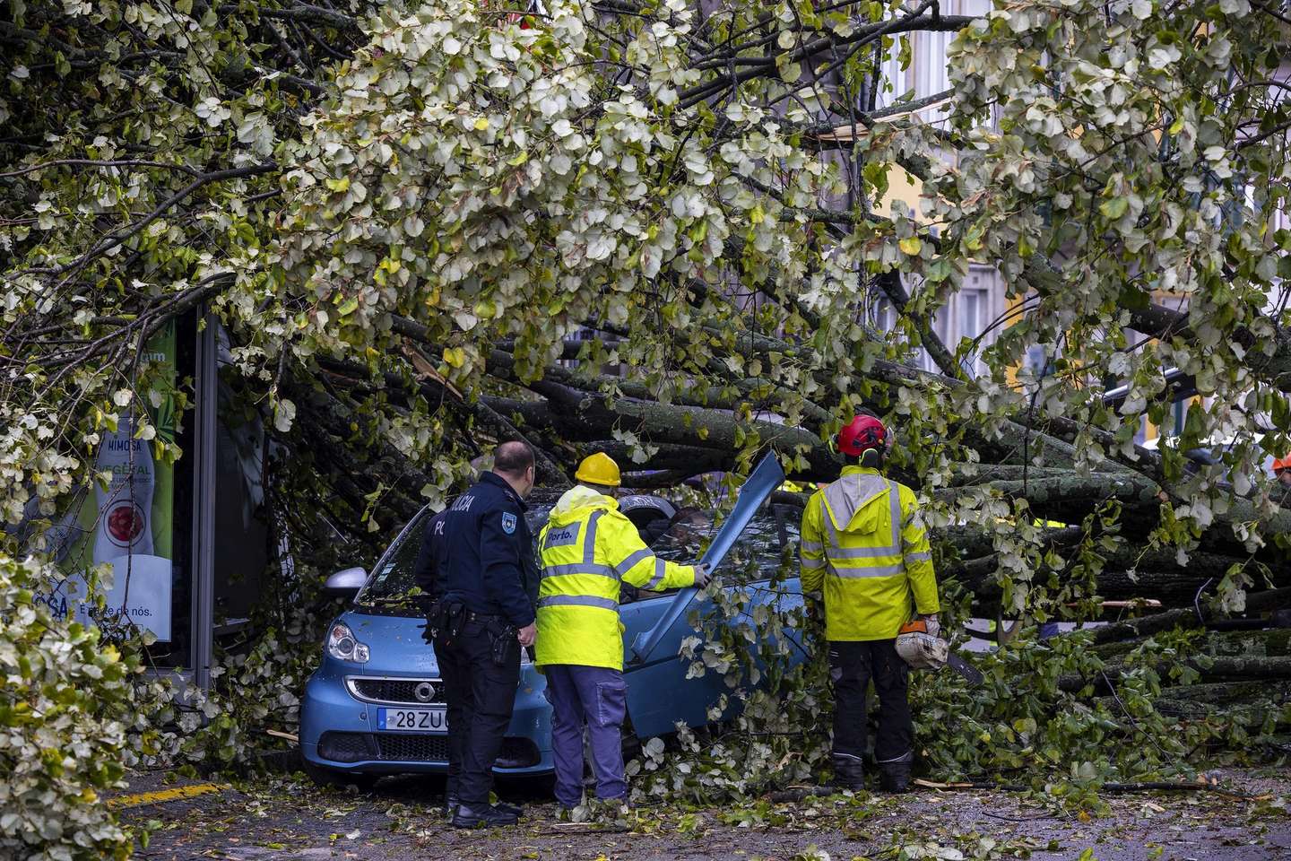 Uma árvore de grande porte caiu hoje na praça da República, no Porto, causando danos em viaturas e numa paragem de autocarro e vias cortadas, indicaram fontes da Proteção Civil, 02 de novembro de 2023. JOSÉ COELHO/LUSA