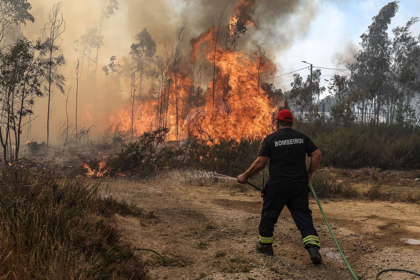 A fireman fights a forest fire in Soutelo, Albergaria-a-Velha, Portugal, 16 September 2024. Around 70 people had to be evacuated and at least five properties, including homes, were hit by flames in different rural fires that broke out between Sunday and today in the North and Centre regions, according to Civil Protection. 196 operationaland 58 vehicles are fighting the forest fire. PAULO NOVAIS/LUSA