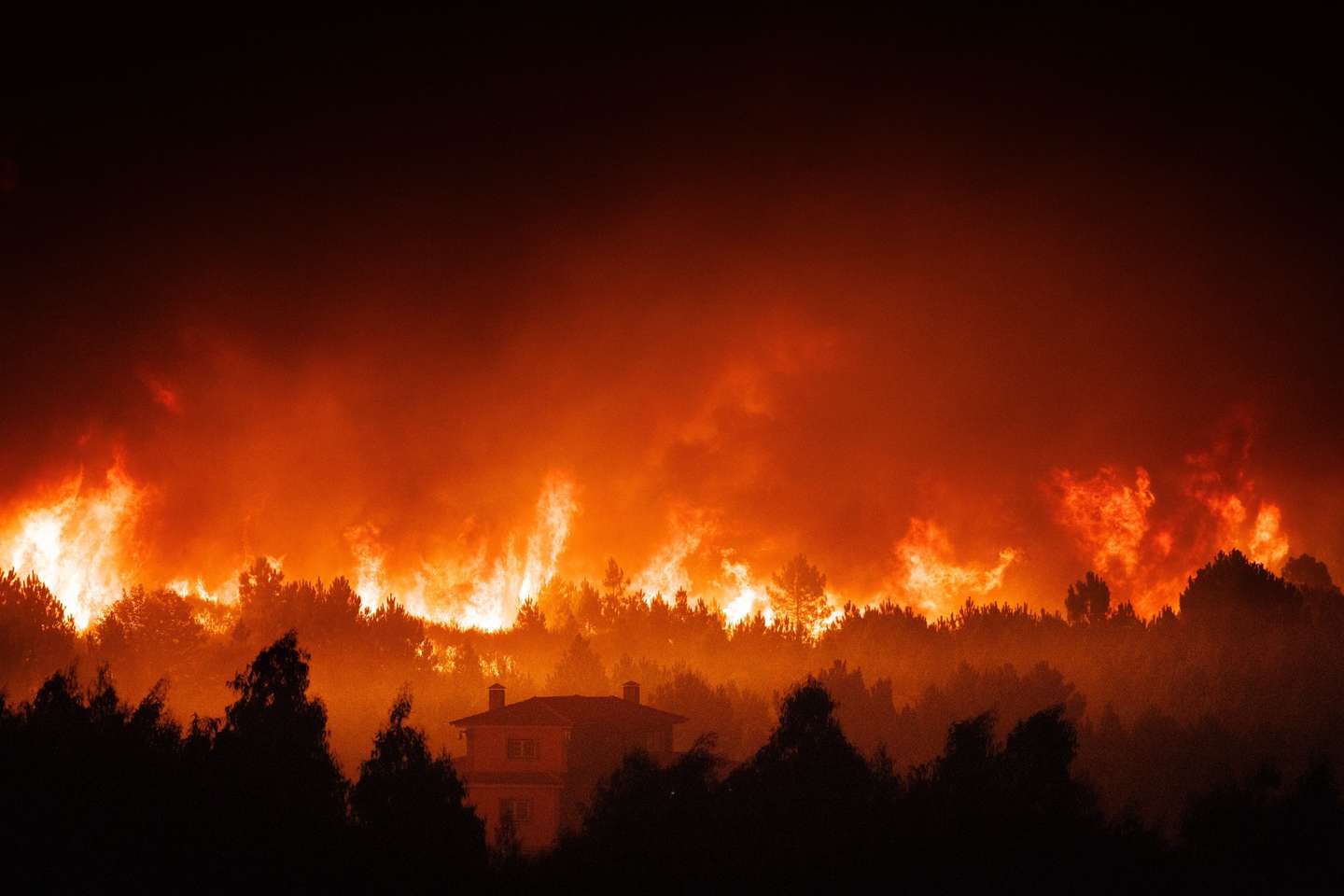 Incêndio florestal