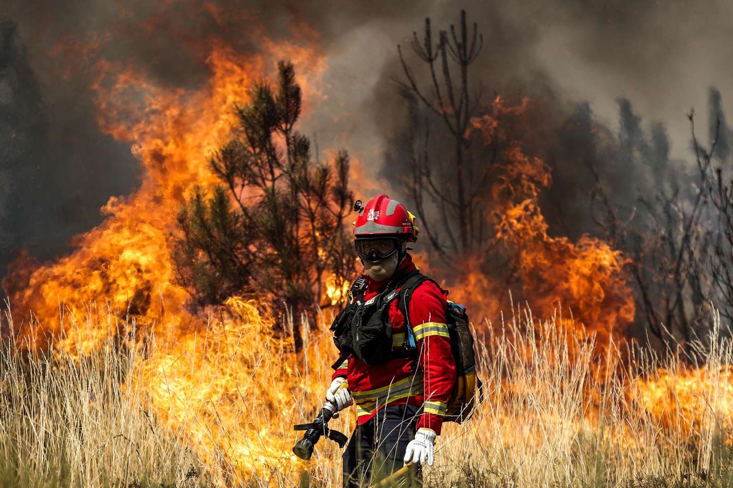 Um bombeiro combate as chamas durante o incêndio na encosta da aldeia de Moura da Serra, Arganil, 14 de agosto de 2025. De acordo com os dados disponíveis no ‘site’ da Autoridade Nacional de Emergência e Proteção Civil (ANEPC), quase 900 operacionais combatiam o fogo que deflagrou na quarta-feira na freguesia de Piódão, no concelho de Arganil, distrito de Coimbra, e se estendeu depois aos municípios de Oliveira do Hospital e Pampilhosa da Serra (Coimbra), e de Seia, já no distrito da Guarda. PAULO CUNHA/LUSA