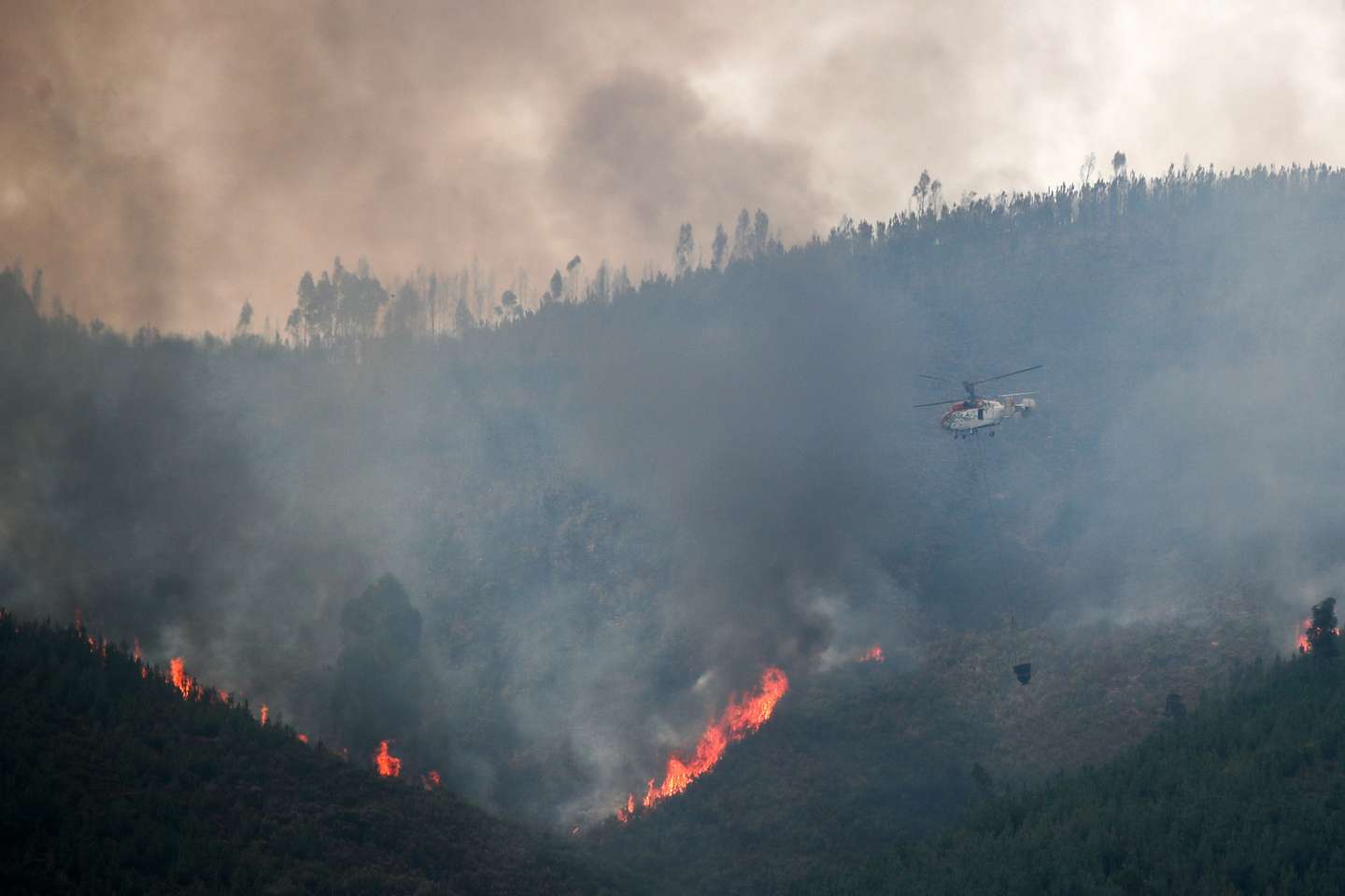 Um helicóptero pesado Kamov durante o combate ao incêndio na encosta da aldeia de Quinta da Tapada, em Oliveira do Hospital, 14 agosto 2025. As frentes de fogo no concelho de Arganil, com início em Piódão, avançaram para norte e noroeste em direção ao município vizinho de Oliveira do Hospital e outra para nordeste, que entrou no concelho de Seia, na região da Guarda, alimentada por ventos fortes e pelas encostas íngremes da serra dos Açores. PAULO CUNHA/LUSA