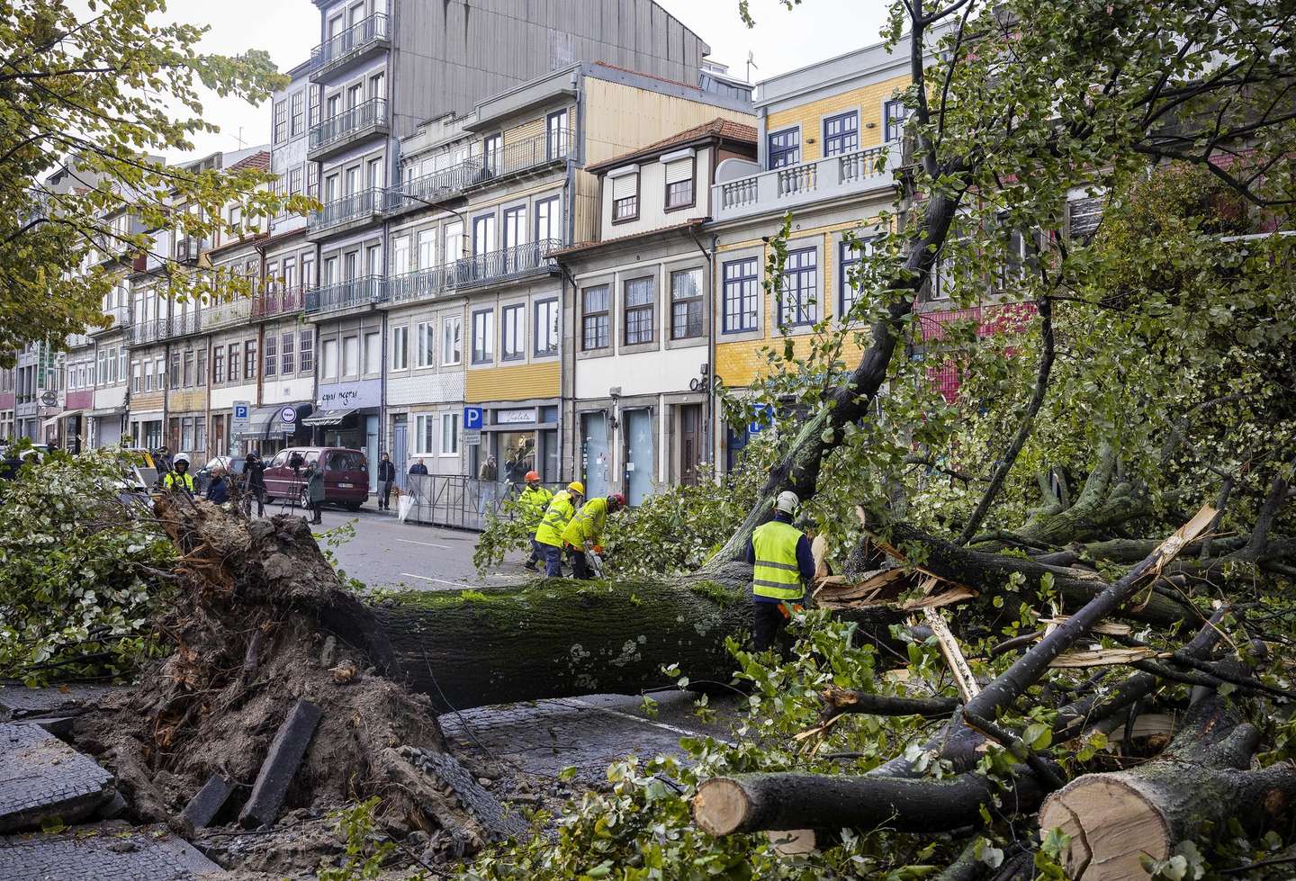 Uma árvore de grande porte caiu hoje na praça da República, no Porto, causando danos em viaturas e numa paragem de autocarro e vias cortadas, indicaram fontes da Proteção Civil, 02 de novembro de 2023. JOSÉ COELHO/LUSA