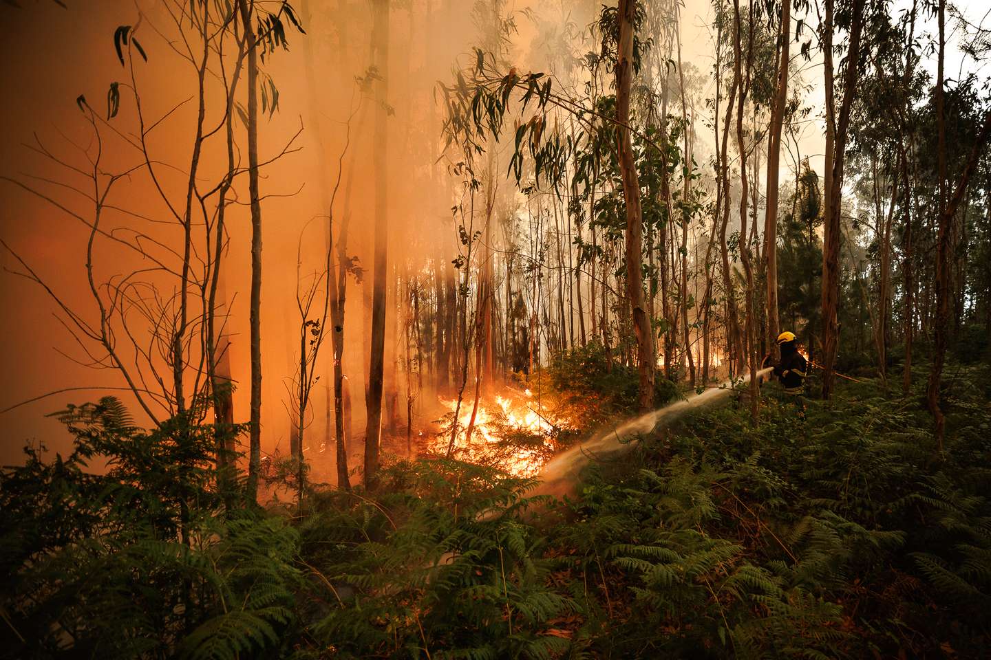 Incêndio