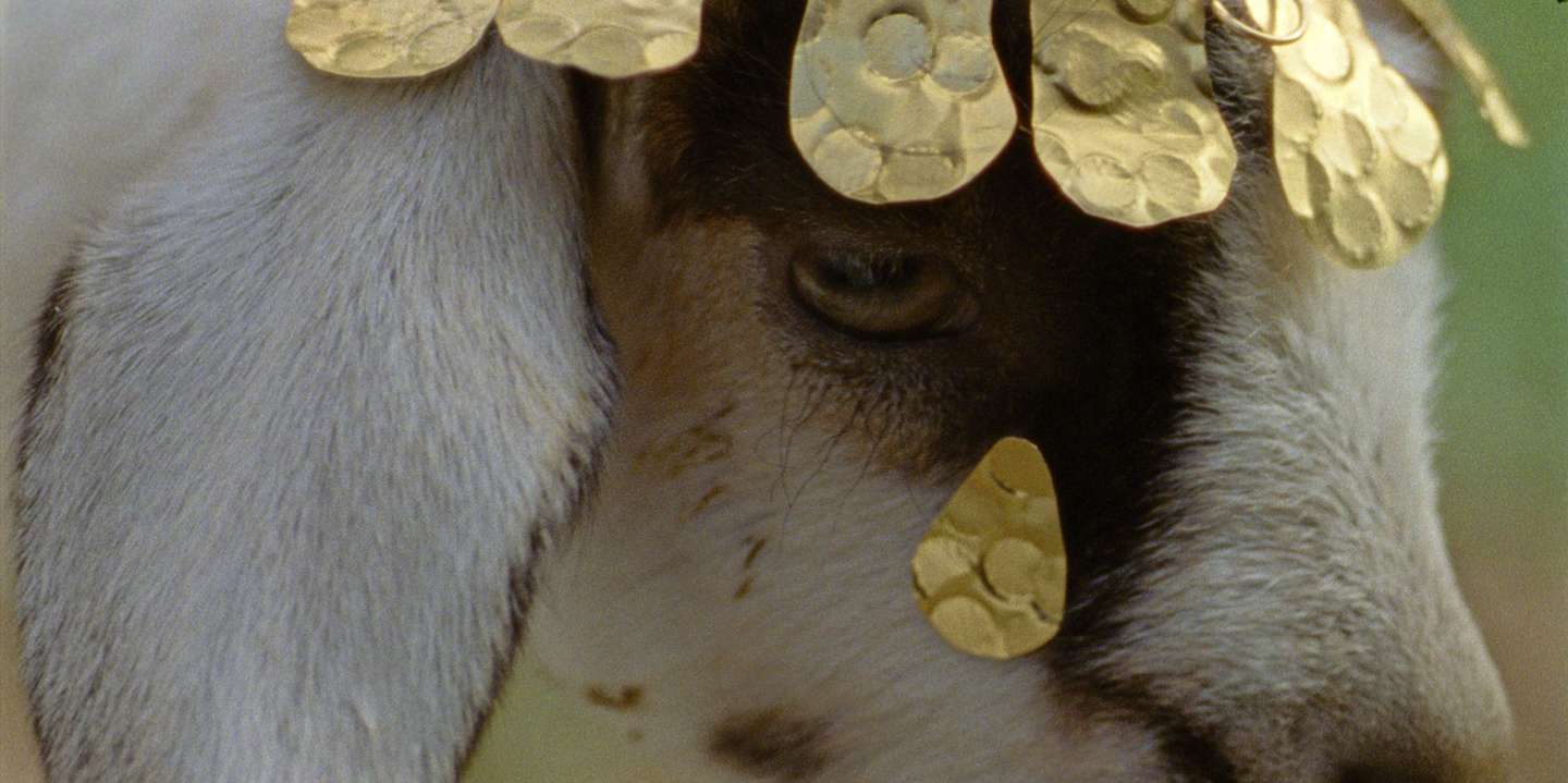 “No meu imaginário não há cabras com coroas douradas. Aquilo que inventa o Alentejo do filme são as histórias que as pessoas me foram contando.”, explica a realizadora