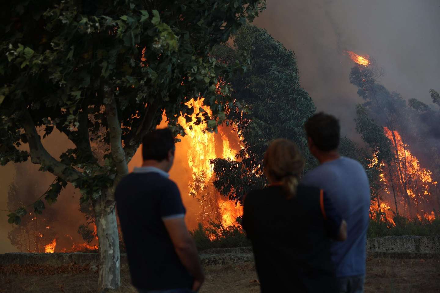 Incêndio em Penalva de Castelo, Viseu, a 16 de setembro de 2024