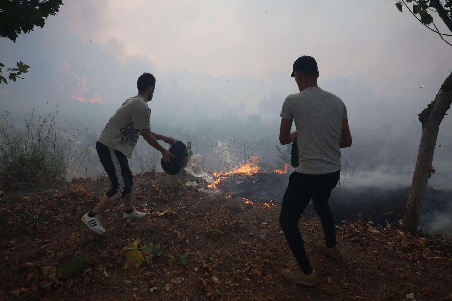 Incêndio em Penalva de Castelo, Viseu, a 16 de setembro de 2024